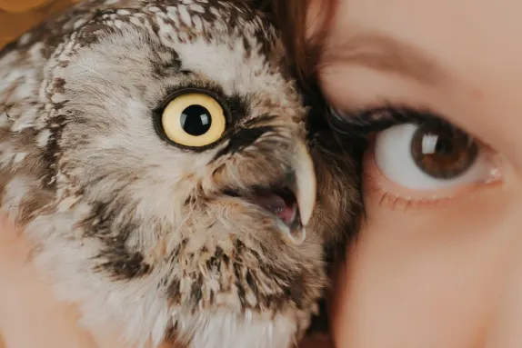 Efbet Casino Soporte